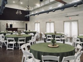 {{brizy_dc_image_alt imageSrc=